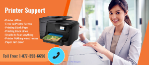 Printer support | Printer offline | printer setup