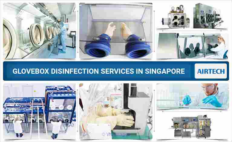 Glovebox in Singapore