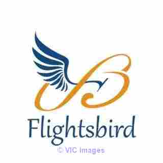 Book Cheap Airline Tickets & Get Flat 40% OFF
