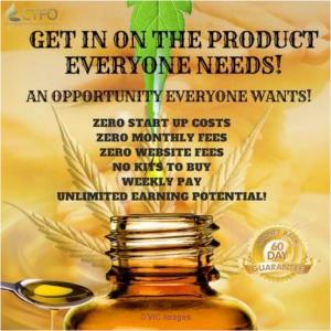 Work from Home and Make ($3-5K p/t or $8-10K f/t)