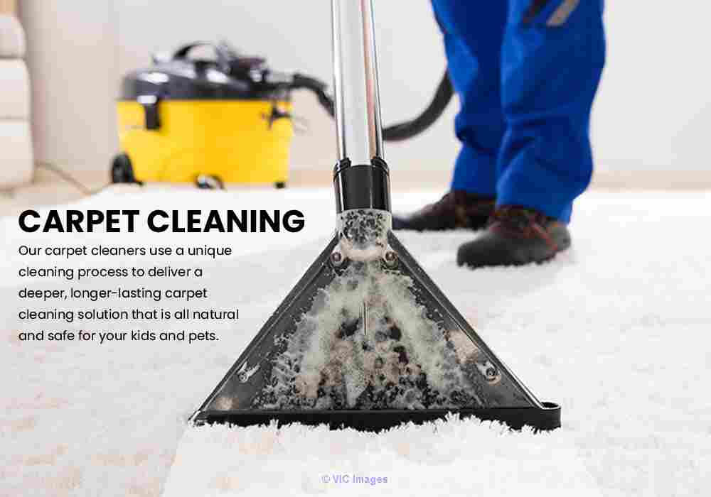 Carpet Cleaning Services in Brampton