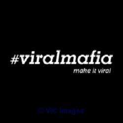 Digital Marketing Brampton| SEO Kitchener- Viral Mafia