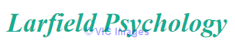 Kelvin Larfield Psychology Brisbane