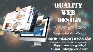 Are You Looking for a Web Designer?