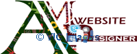 AMP Website Designer Company USA
