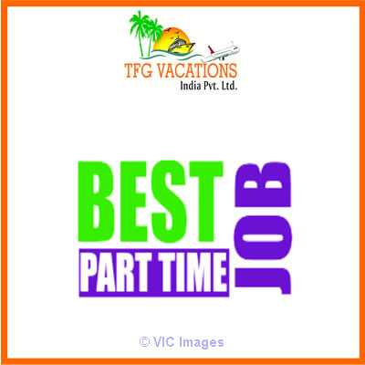 Online Marketing Work in Tourism Company Required Fresher