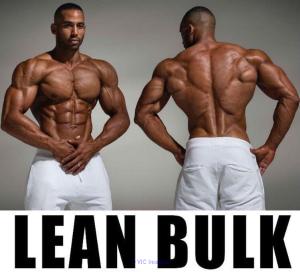 14 WEEKS TO QUALITY,STRENGTH AND LEAN MUSCLES