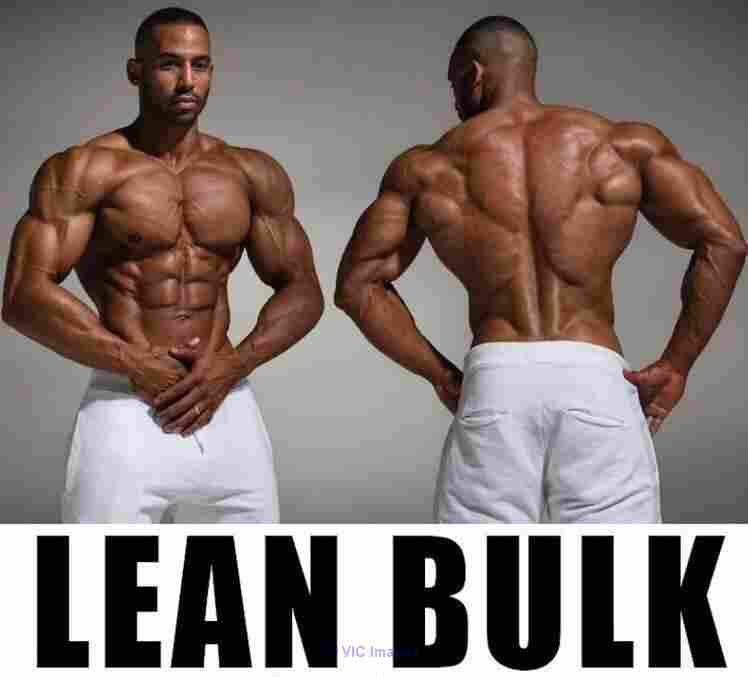 14 WEEKS TO QUALITY,STRENGTH AND LEAN MUSCLES