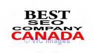 Best Seo Company in Toronto