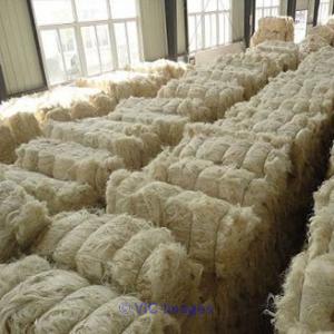 Donkey Hides Beef Omasum Sisal Fiber Exporter