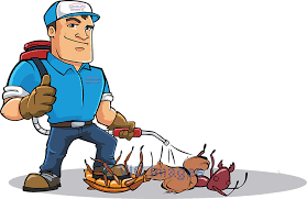 Pest Control Mississauga - Pest R Gone