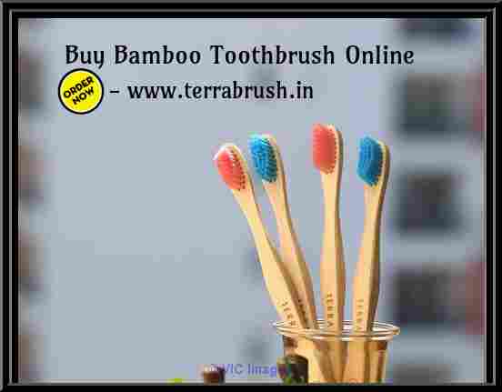 Buy Eco friendly Toothbrush Online | Wooden Toothbrush  Terrabrush.in