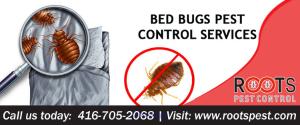Bed Bug Control & Treatment | Exterminators For Bed Bugs