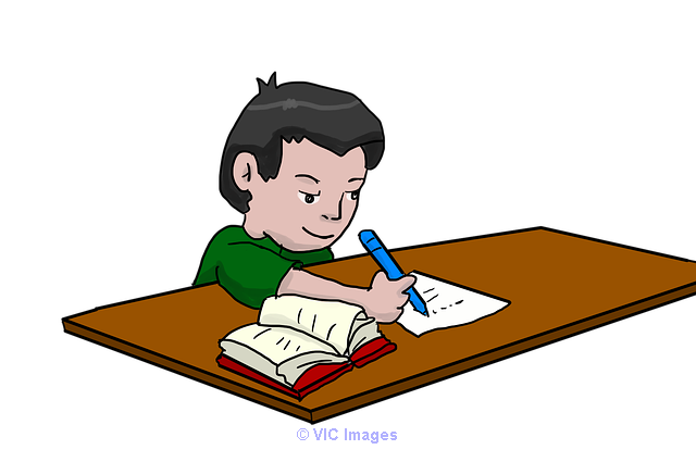 Avail the best Information Resource Management (IRM)  assignment help
