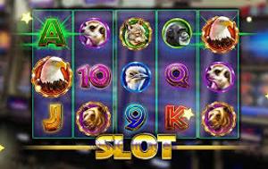 Slot Game Development Company - Hire affordable Slot game developer