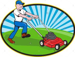 Lawn care - best service & prices