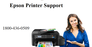How to Update Epson Printer Driver