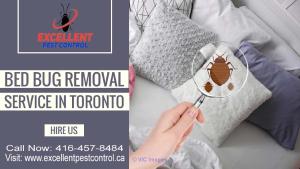 Bed Bug Extermination in Toronto | Excellent Pest Control