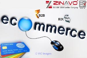 B2B Ecommerce Website Development Company