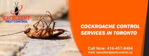 Cockroach Control and Extermination | Excellent Pest Control