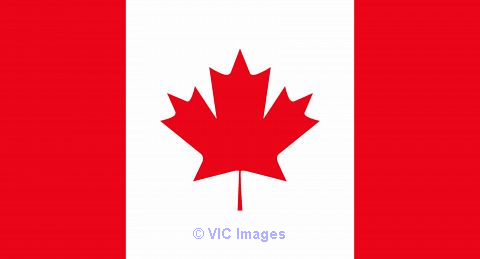 Immigration Consultant Surrey