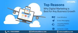 seo company services in delhi - seo services new delhi