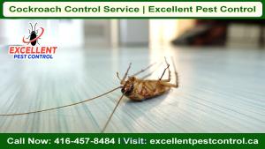 Cockroach Control Service | Excellent Pest Control