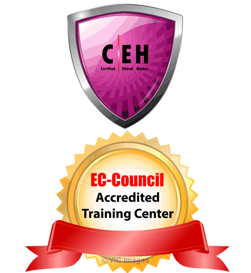 Computer Hacking Forensic Investigator v9 Certification in Ontario