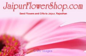 Send Cakes to Jaipur Online with delightful Birthday surprise for dear