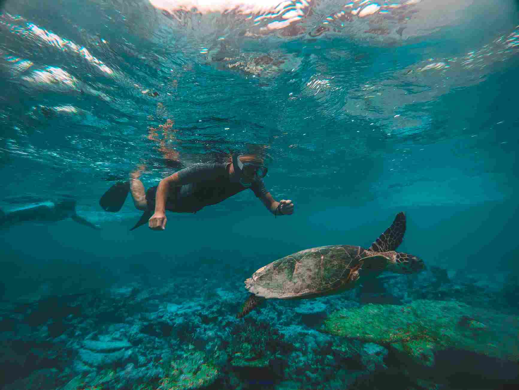 Best Diving Shops In Okinawa
