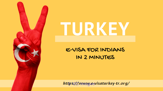 Get Your Turkey Visa Within 2 Miniutes