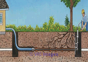 Why Hire a Professional for Expert Water Line Repair?