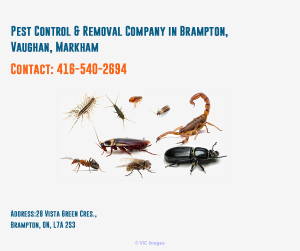 Pest Control Services in Canada northstarpestcontrol