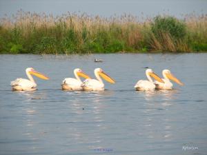 We sell investment company with 736 ha for tourism, aquaculture an