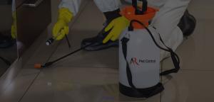 Looking for a professional Pest Control Company in Toronto and the GTA