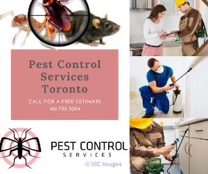 Pest Control Services in Toronto - Pest R Gone