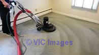 Carpet Cleaning Services in Edmonton