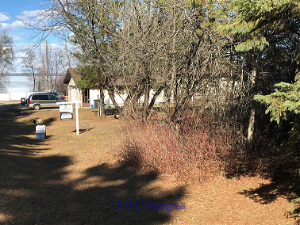 $74,900! Norris Beach Lot with lake access. Build your dream home!