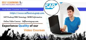 SAP/Hadoop/IBM Datastage /MSBI/Informatica  Online Video Courses