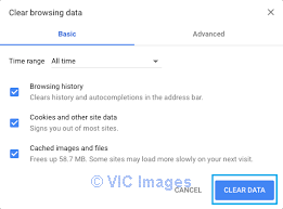 Browser history problems