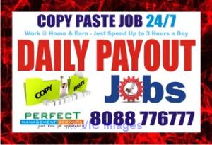 Data Entry Daily Payout | Survey job | Copy paste Work |