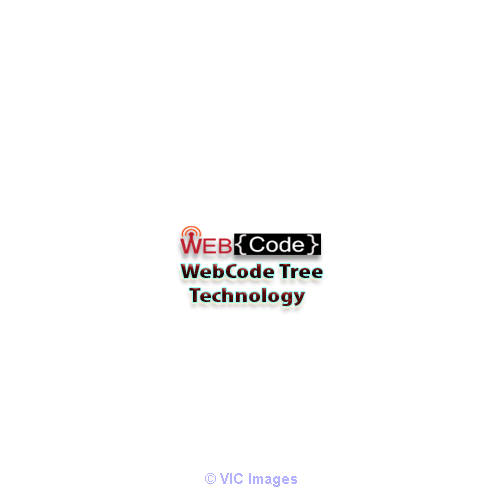 WebCode Tree  Best Website Design and Development at Affordable