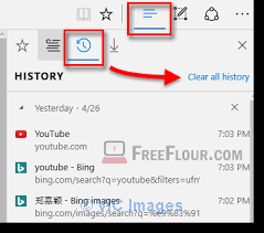 Different Browser History problems