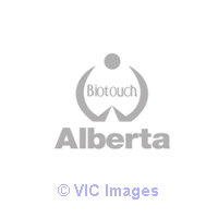 Reliable Eyebrow Microblading in Calgary 