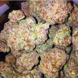 buy runtz strain online