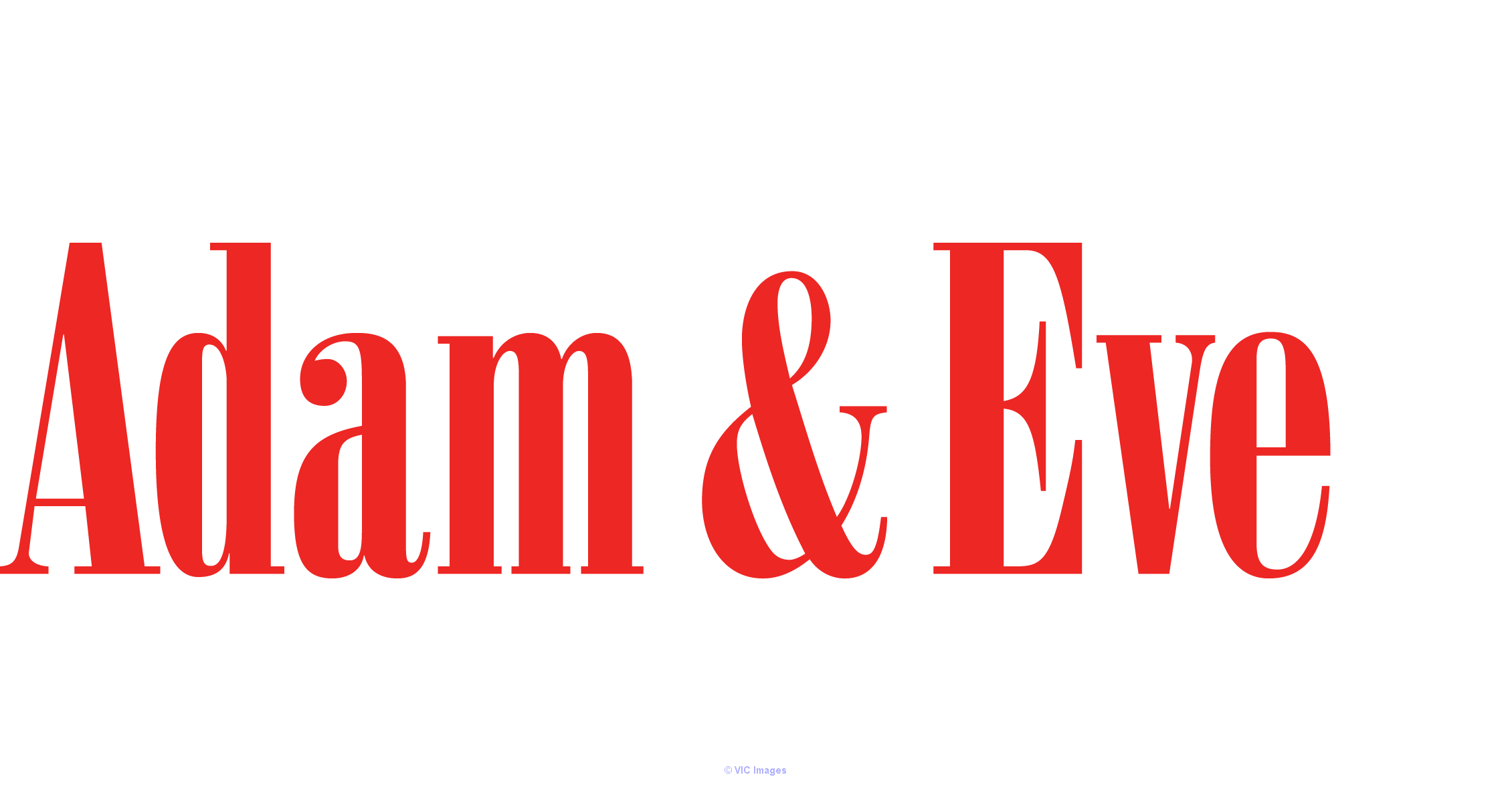 Custom Tire Franchise Opportunity