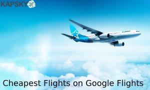 Google Flights | Google Flights Search