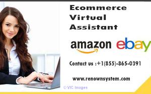 Ecommerce Virtual Assistance