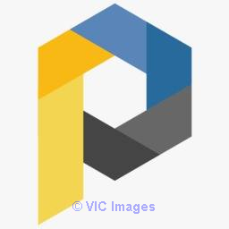 WordPress Developer