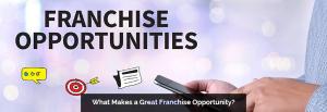 Franchise Opportunity - Big Blue Swim School